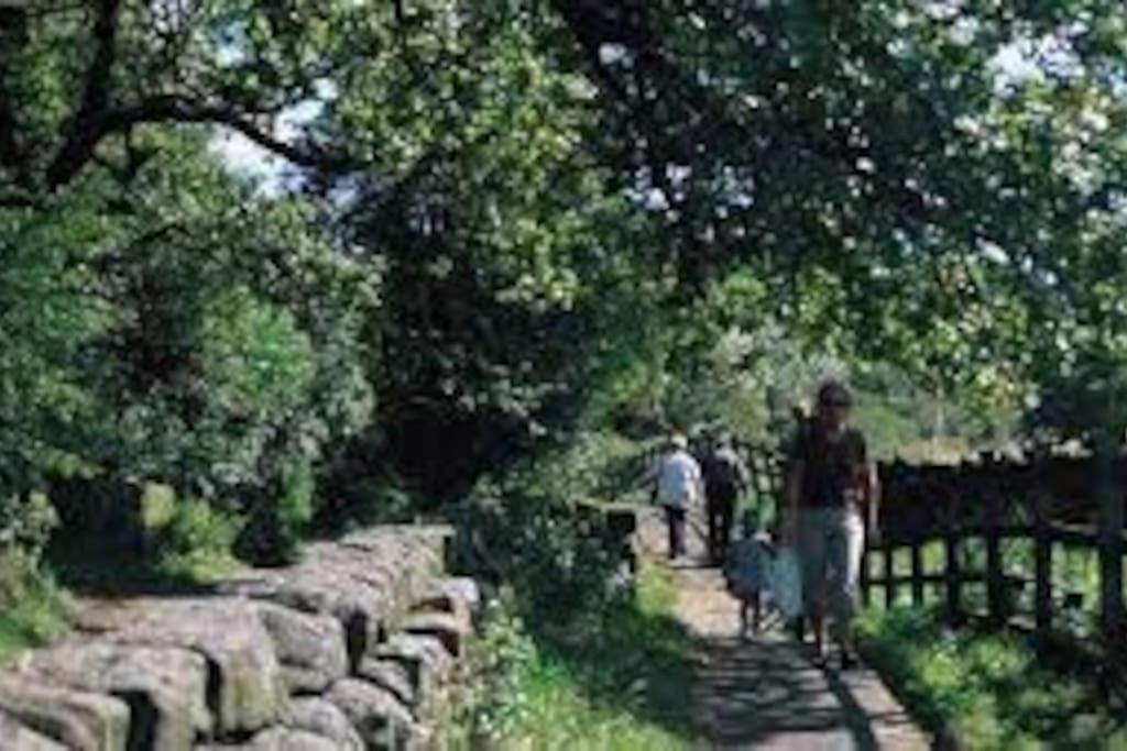 Villa Rita'S Roost, Lancs, Tranquil With Amazing Views Burnley Exterior foto